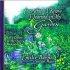 Everything I Know I Learned in My Garden: Life's Lessons in My Own Backyard - Life's Lessons in My Own Backyard