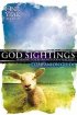 God Sightings Companion Guide Pb