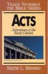Acts: Teach Yourself the Bible Series