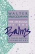 Psalms : Theological Commentary