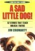 A Sad Little Dog: 52 Stories That Teach Biblical Truths - 52 Stories That Teach Biblical Truths