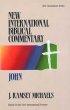 John : Vol 4 New International Bible Commentary 