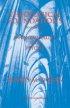 Theological Foundations, v.1 - Intentionality and Psyche