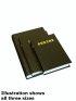 Small Synodal Version Russian Bible