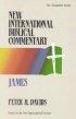 James : Vol 15 New Testament : New International Biblical Commentary 