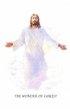 Wonder of Christ