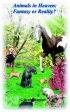 Animals In Heaven