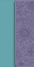 NIV Diary Bible: Turquoise/Purple Duotone