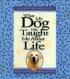 What My Dog Has Taught ME About Life