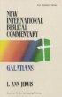 Galatians : Vol 9 New Testament : New International Biblical Commentary