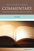 Isaiah: People's Bible Commentaries