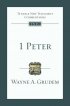 1 Peter: An Introduction and Commentary