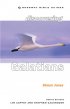 Discovering Galatians - Be Free in Christ