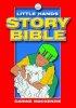 Little Hands Story Bible