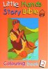Little Hands (Story Bible) : Colouring Book 2