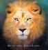 MEET THE REAL LION