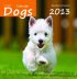 Dogs Calendar 2013 (Small)
