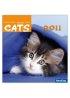 Cats : 2009 - Wonderful Creation Calendar with Bible Texts
