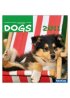 Dogs 2009 Calendar