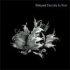 Eternity Is Now CD