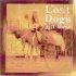 Gift Horse CD