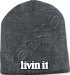 Livin It - Logo Beanie
