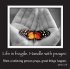 Life is Fragile Magnetic Picture Frame
