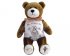 St. Francis Of Assisi Holy Bear
