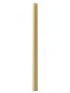 Paschal Candle 24" x 2"