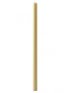 Paschal Candle 30" x 2" (Each)