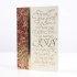 She Will Give Birth Christmas Cards - Pack of 18