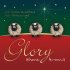 While Shepherds Watched Card - Pack of 5