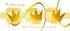 Golden Crowns Card - Pack of 5