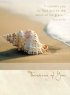 Thinking of You Cards - Pack of 4