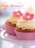 Happy Birthday Cards - Pack of 4