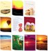 Monster Value Pack - Pack of 10