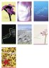Mixed Poster Value Pack 2 - Pack of 7