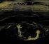 Sonicflood Gold Double Cd
