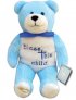 Bless This Child Blue Holy Bear
