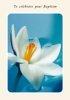 To Celebrate Your Baptism Card - Single