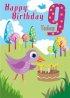 9th Birthday Card - Pack of 6