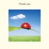 Thank You Card - Single