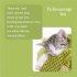 To Encourage You Card - Single