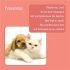 Friendship Card - Single