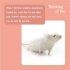 Thinking Of You Card - Pack of 6