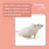 Thinking Of You Card - Single