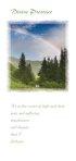 Divine Presence Card - Single