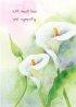 With Much Love And Sympathy Card - Pack of 6