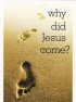 Why did Jesus come?