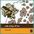 Seeds Of Hope And LoveCD